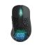 Mouse Xtrfy M4, WL/USB-A, RGB, black
