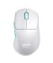 Mouse Cherry Xtrfy M64, WL/USB-A, RGB, білий