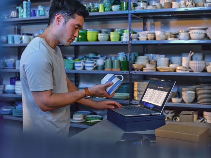 Ноутбук HP ProBook 4-G1i 14" WUXGA IPS AG, Intel U5-225H, 16GB, F512GB, UMA, Win11P, серебристый